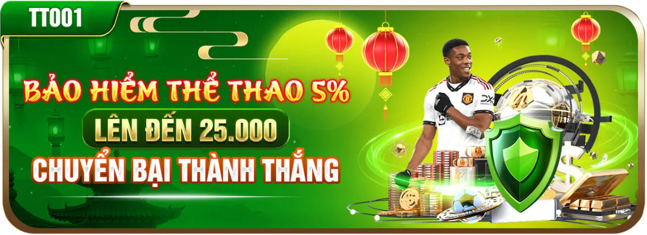 Hình ảnh chọi gà Thomo trực tiếp, gà chiến đấu trên sàn đấu