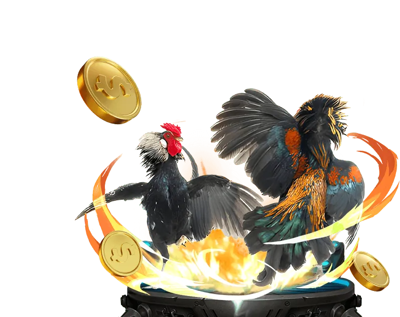 Hình ảnh minh họa cho khu vực câu hỏi thường gặp về đăng nhập chọi gà trực tiếp Thomo